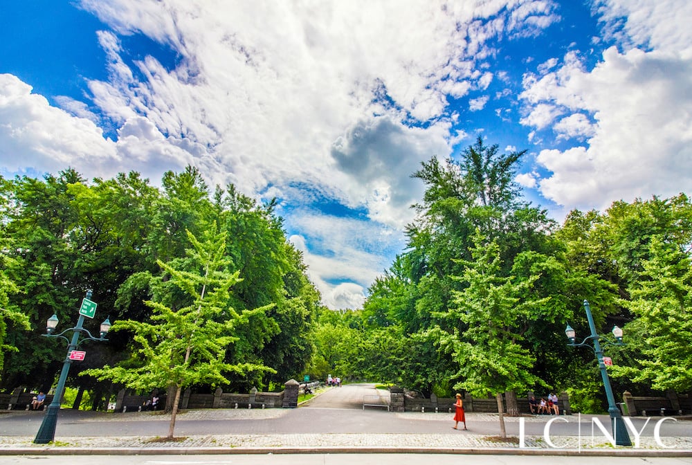 301 West 110th Street Unit: 4N