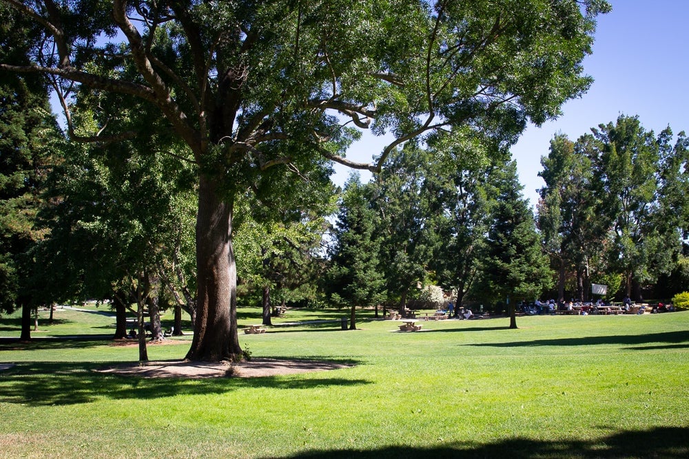 Walnut Creek