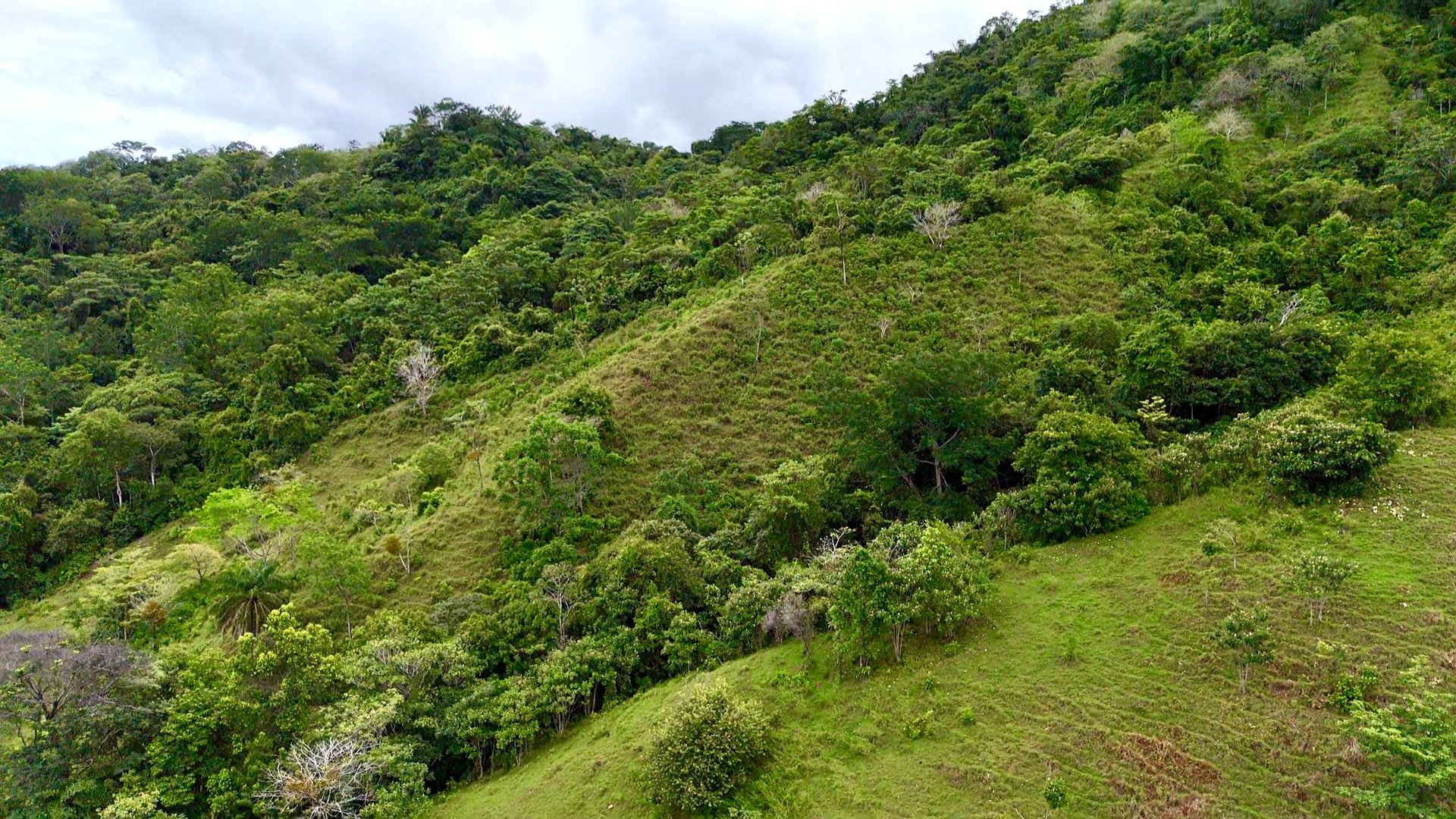 Ocean View Sanctuary in San Buenas – 4.94 Acres of Pastures & Easy Accessaccess