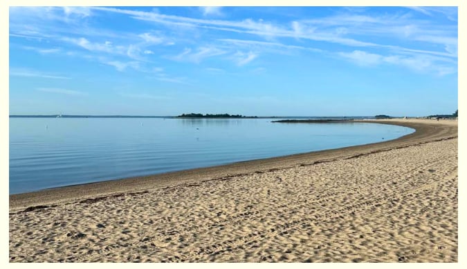 Barbara Sweeney Homes August 2026 Newsletter