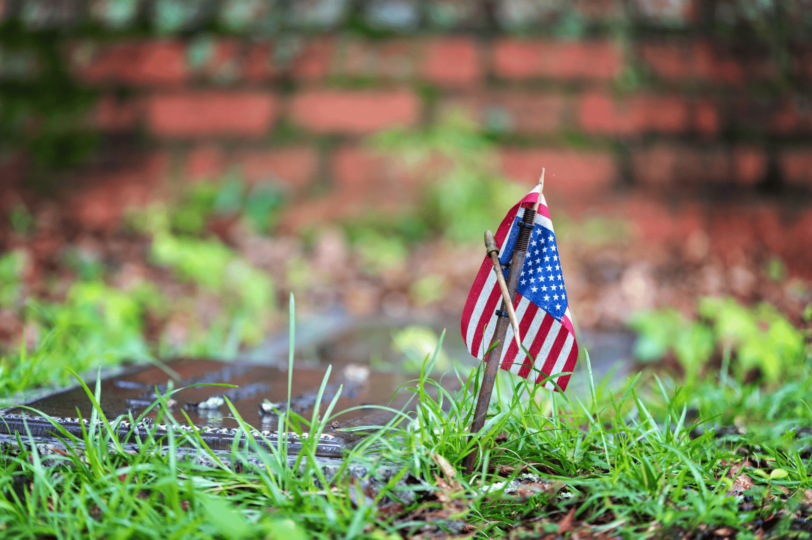 Small American flag planted in grass beside rows of blurred memorial markers.