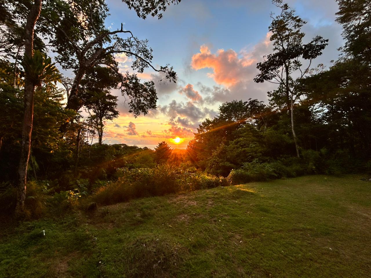 1.7 Acres Ocean View Lot with Producing Cabin in Uvita