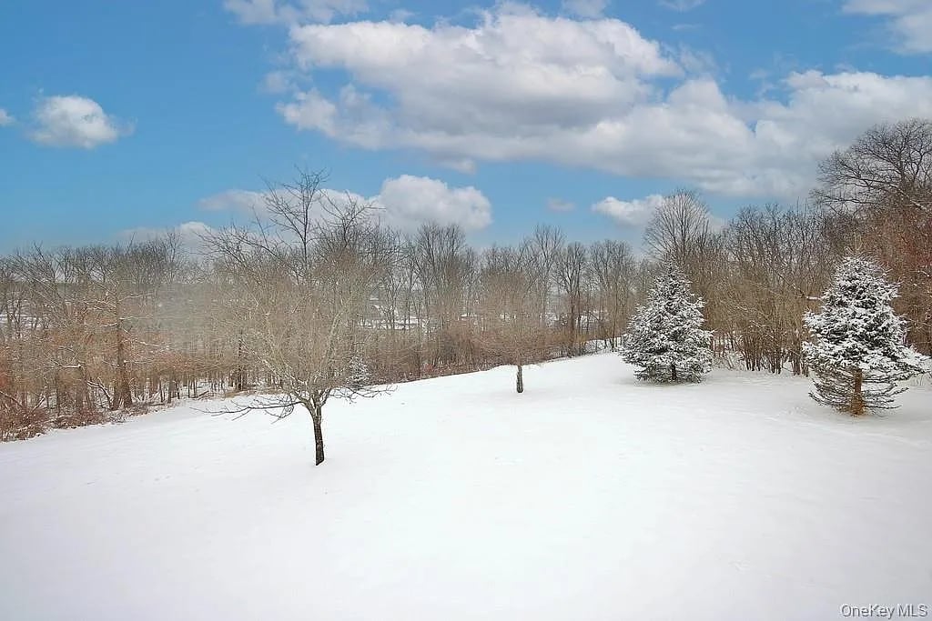 1065 Dolsontown Road