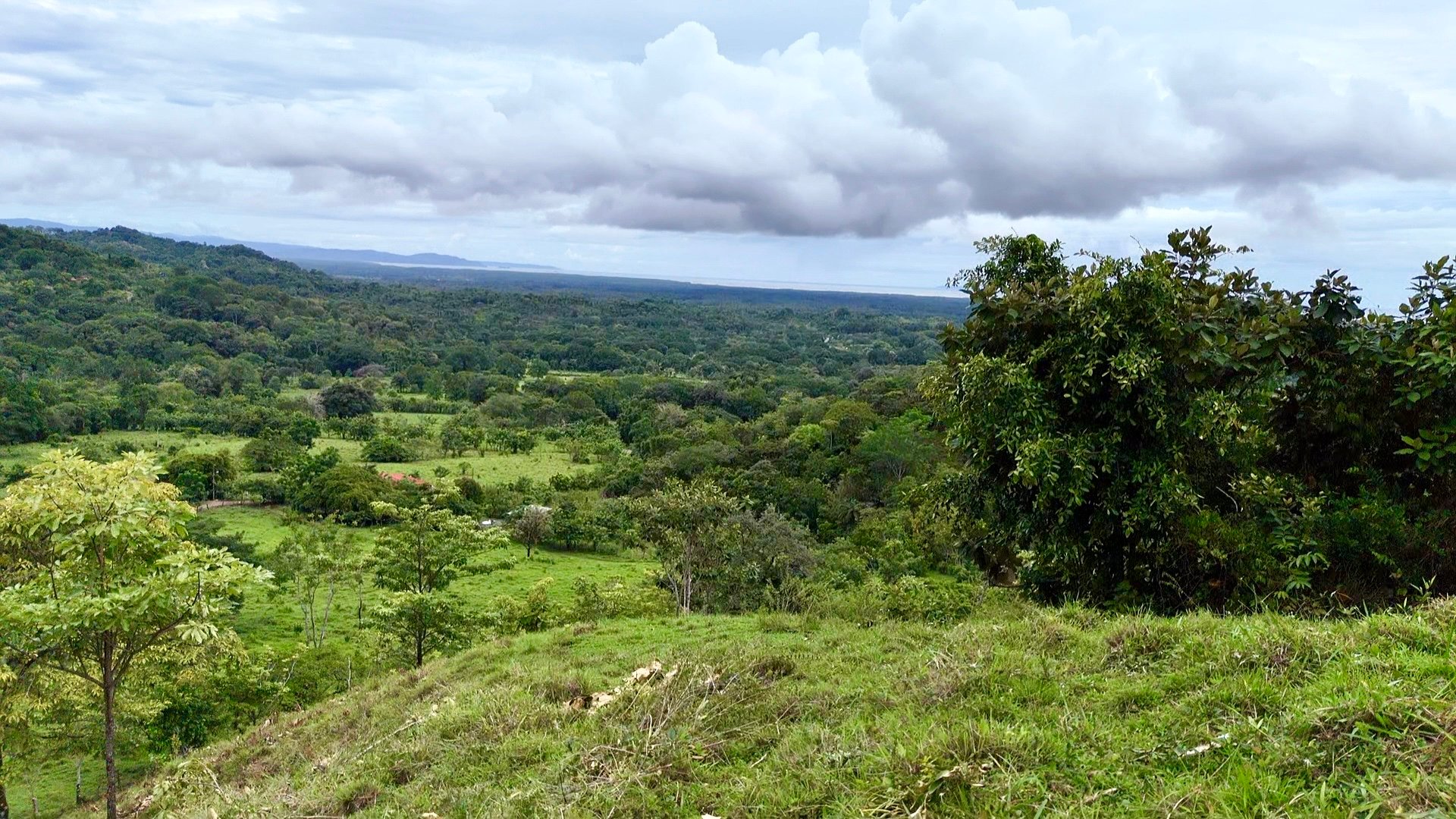 Ocean View Sanctuary in San Buenas – 4.94 Acres of Pastures & Easy Accessaccess