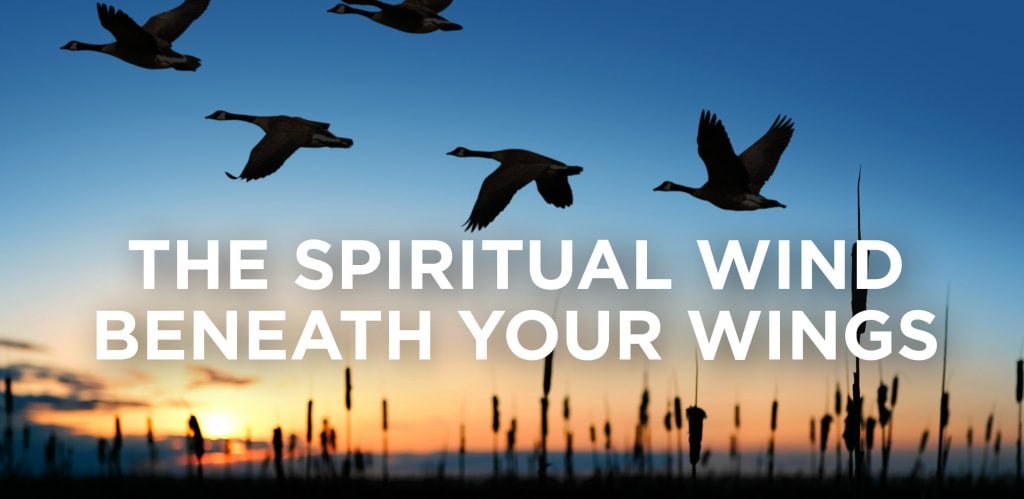 The Spiritual Wind Beneath Your Wings