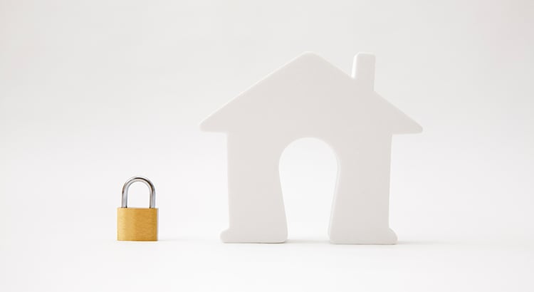 Foreclosures and The Housing Market