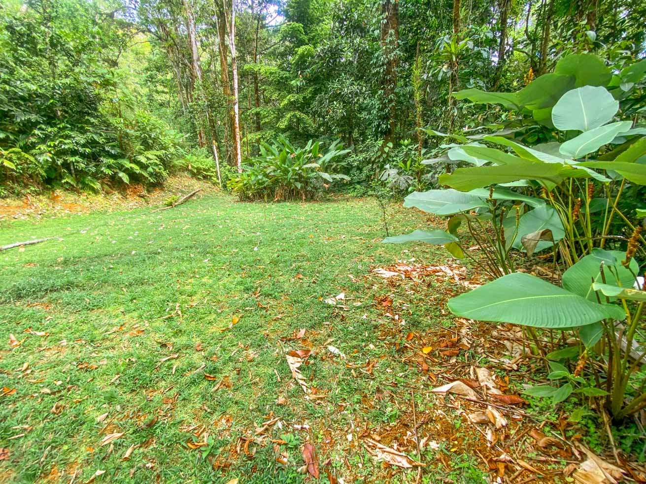 3 Bedroom Rainforest Home in Ojochal With River & Waterfall | 3.5 Acres Private
