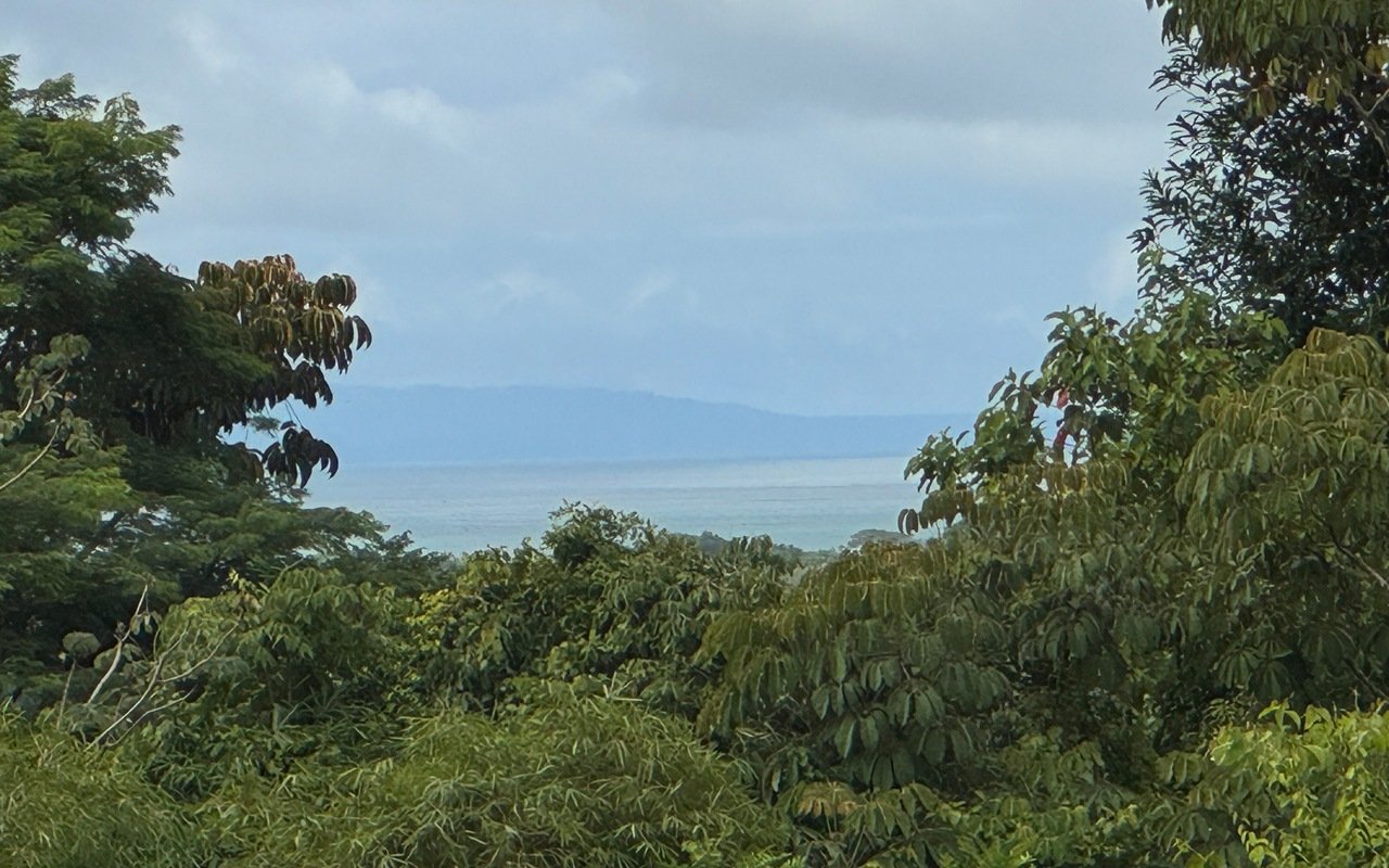 Tropical Getaway with Two Villas and Lush Gardens Near the Heart of Uvita