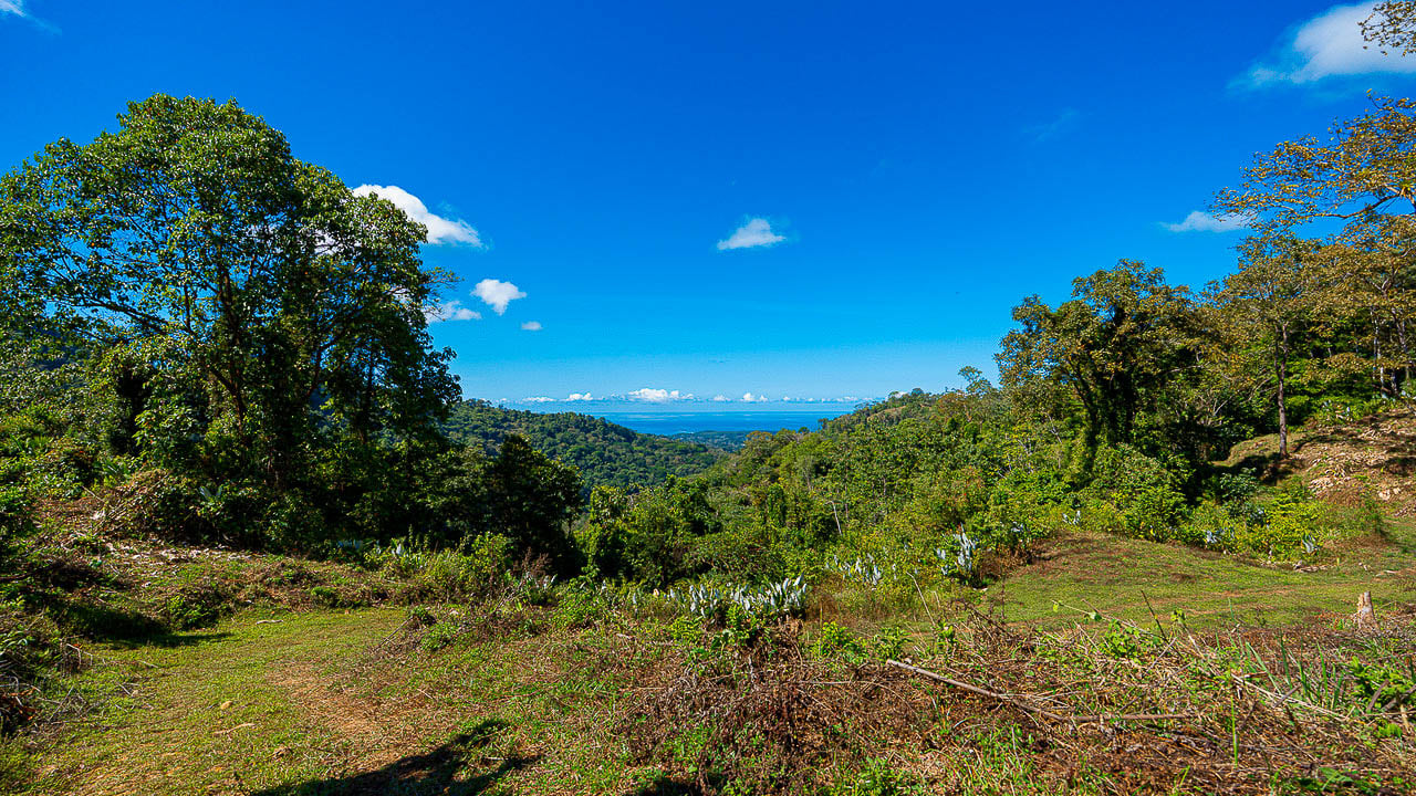 Whale Tail Views Luxury Waterfall Farm