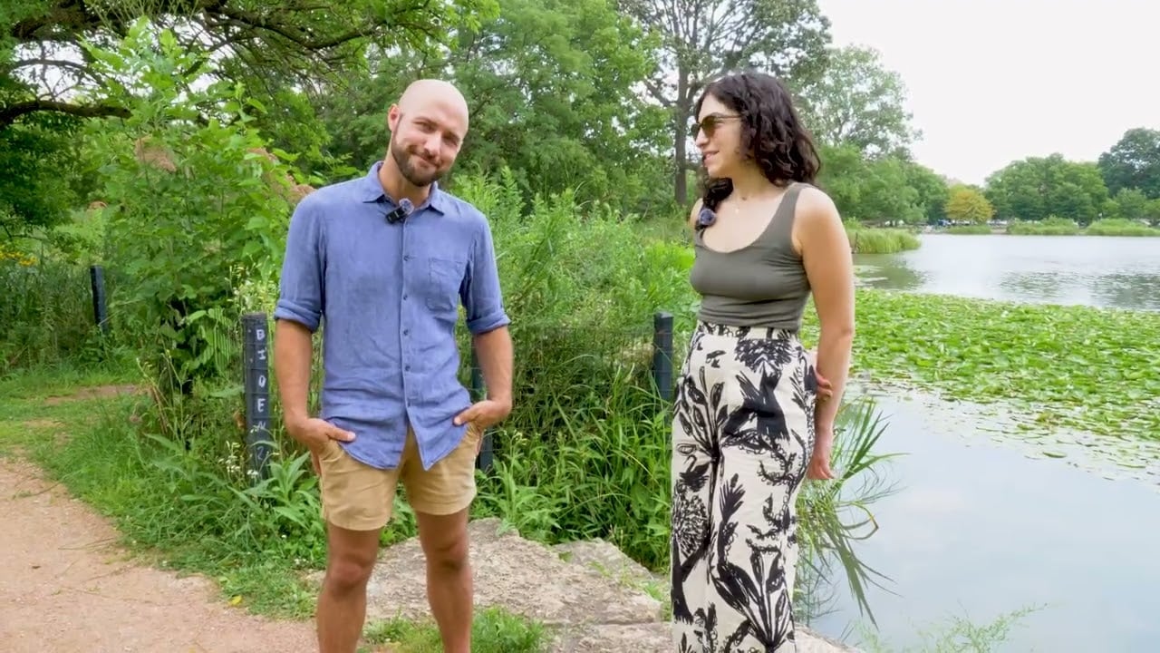  Native Plants and Pollinator Gardens in Chicago! - American Dream TV