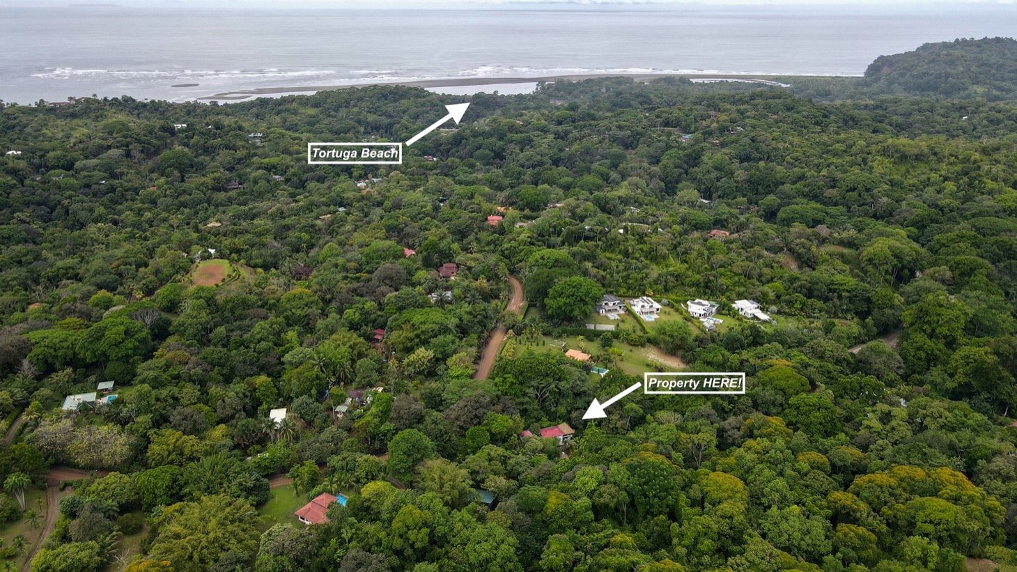 Modern House For Sale With Jungle View, Peaceful Stream, and Rental Cabins