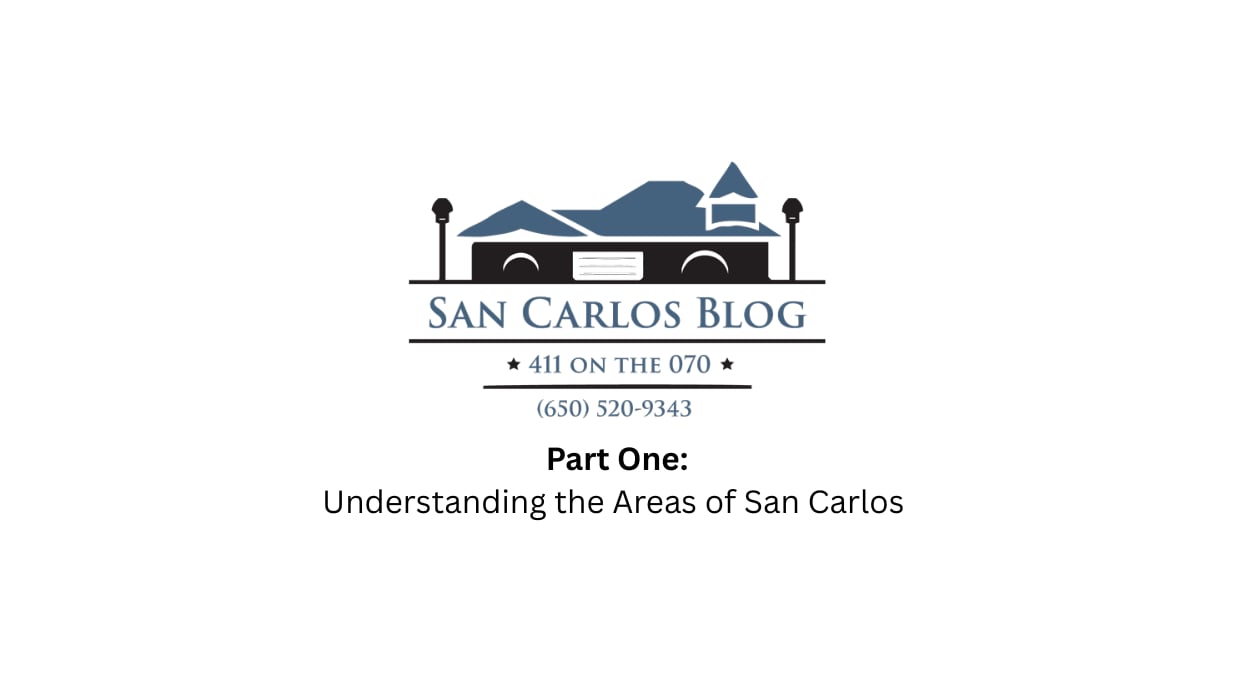 Understanding the Areas of San Carlos