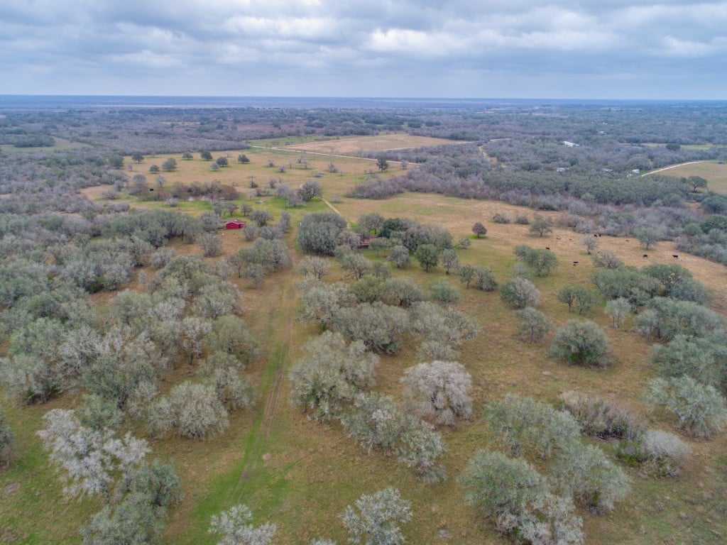 300 Acres in Goliad County 