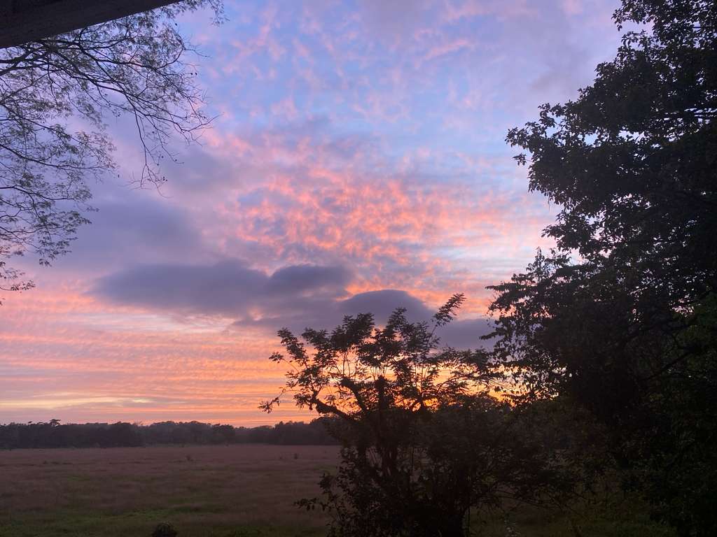 Breeze, Trees, and Monkeys - Your Affordable Costa Rican Haven