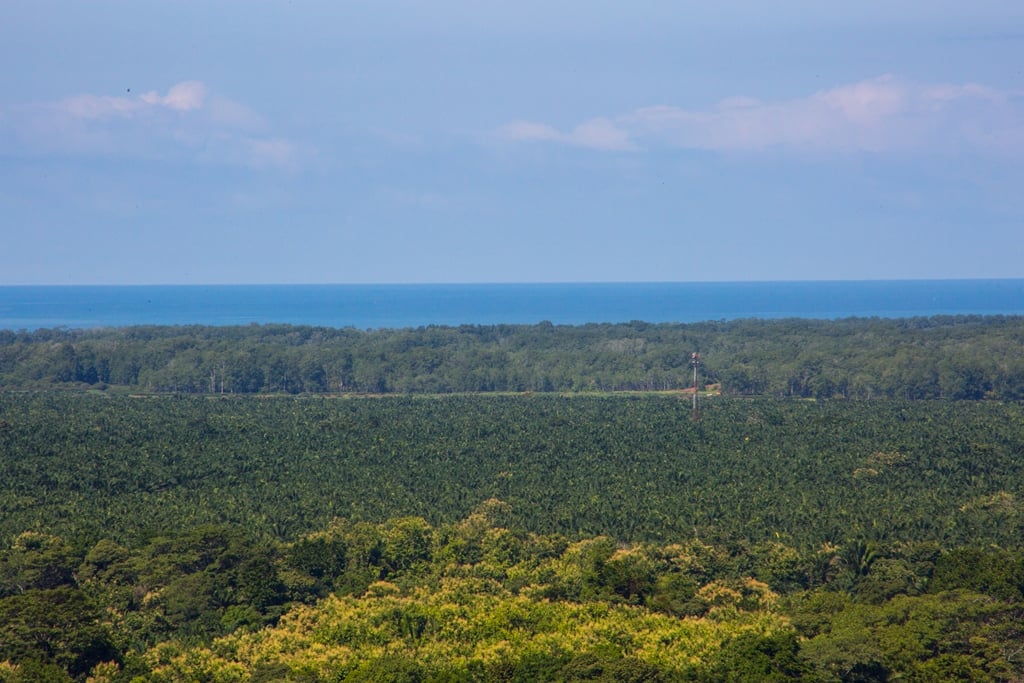 Villa Vista Hermosa | Nature refuge near Manuel Antonio National Park