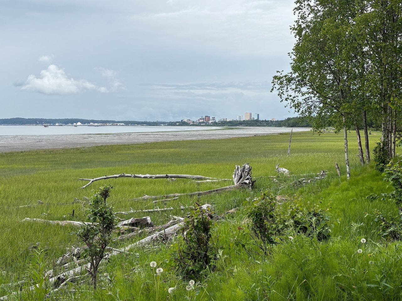 Anchorage skyline, Tony Knowles Coastal Trail