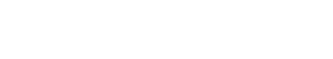 Light Logo