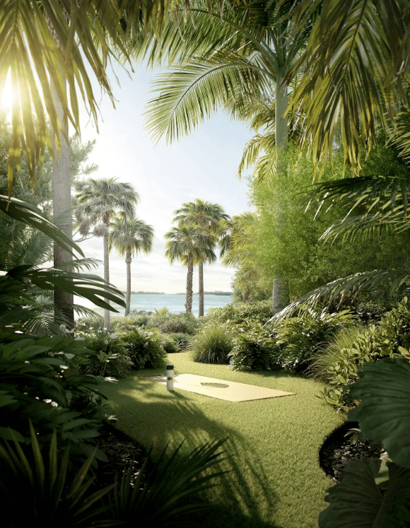 Tropical garden with a sunlit lawn, stepping-stone path, and water visible beyond the palms.