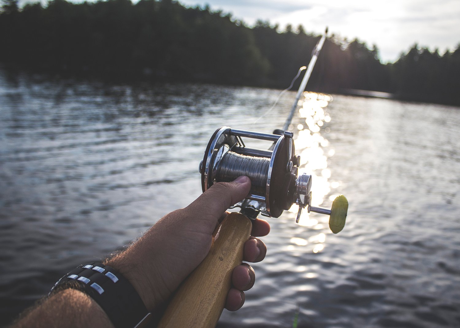 Enchanted Rock State Natural Area