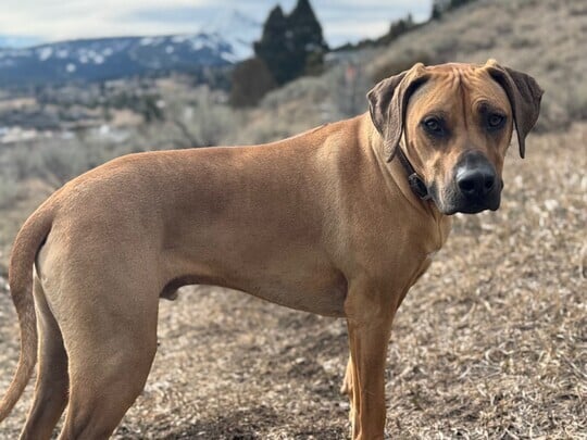 Early Spring in Big Sky | March 2026