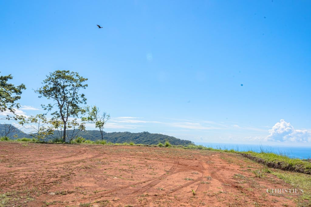 A Rare Thermal-Wellness Development Opportunity - Cacao Estates