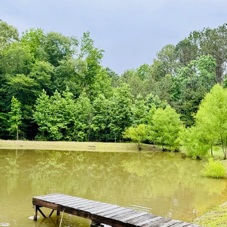 A Stunning Countryside Retreat Near Greenville and Anderson, SC: 800 Holiday Dam Road, Honea Path