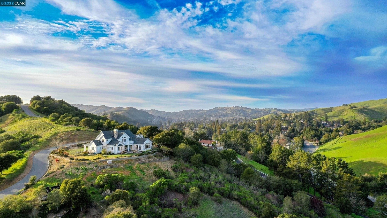 The Quail