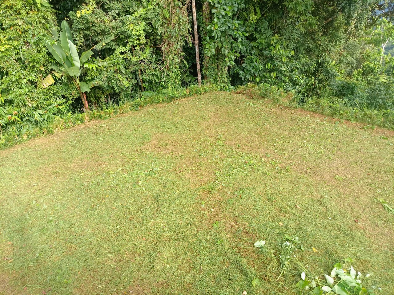 0.46 ACRES – Ocean View Land With Ready To Build Site, 2 Minutes Away From El Pavon Waterfall, Utilities On Site & Virgin Forest!!!