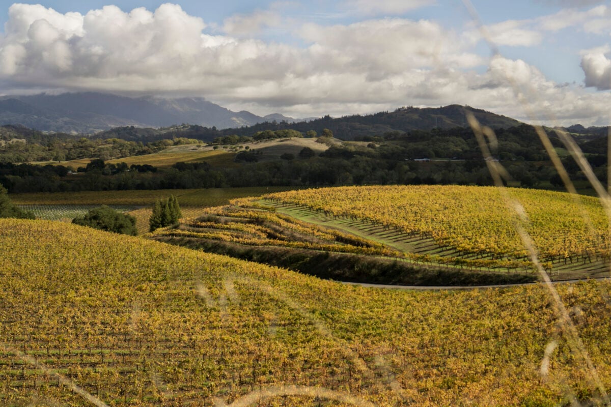 These Are the Most Iconic Vineyards in Sonoma County