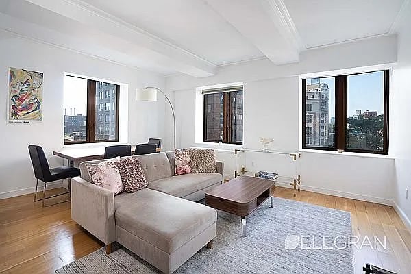 225 East 19th Street, #703