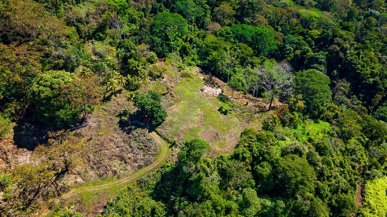 Whale Tail Views Luxury Waterfall Farm