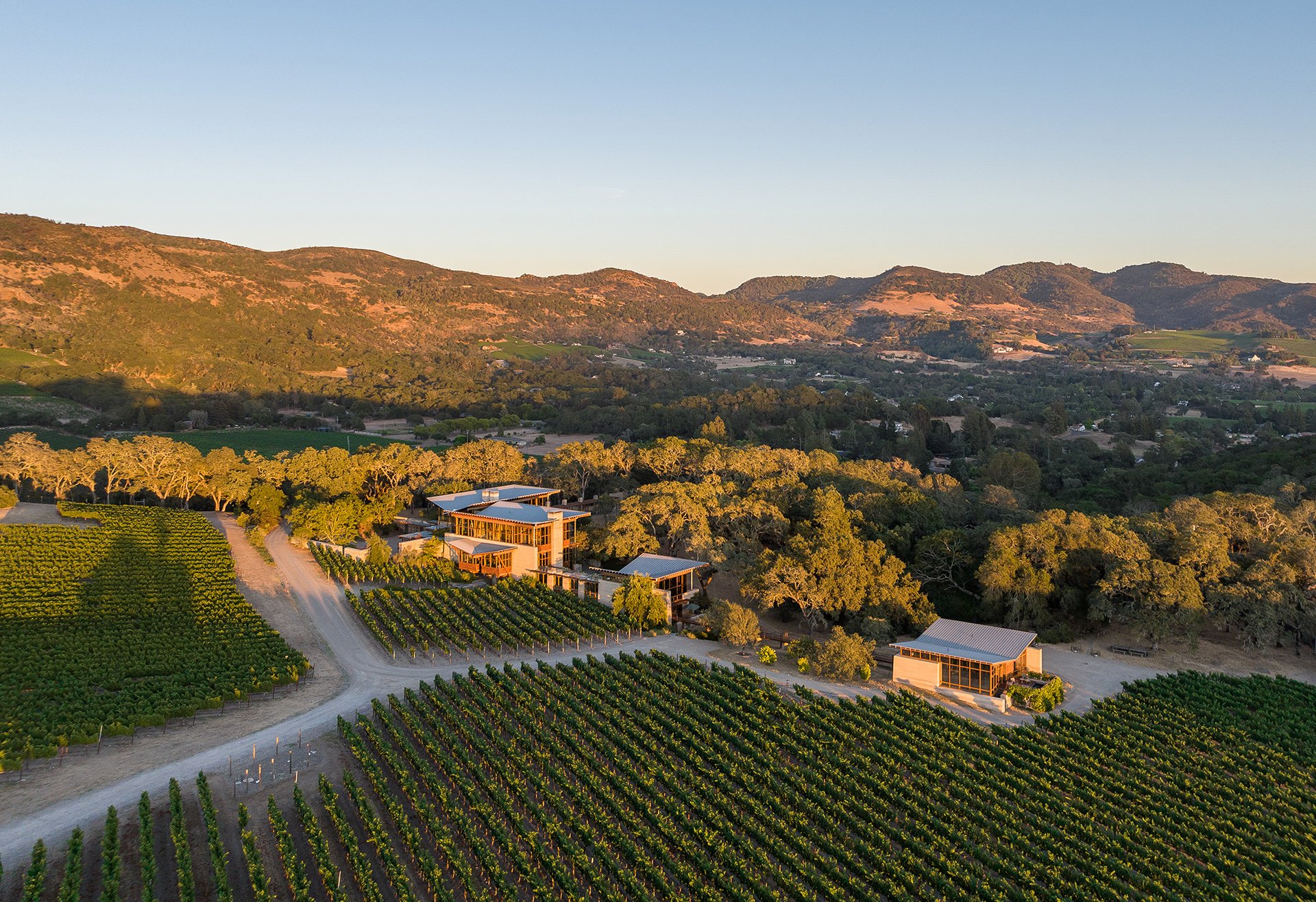 Meteor Vineyard Estate, Napa Valley