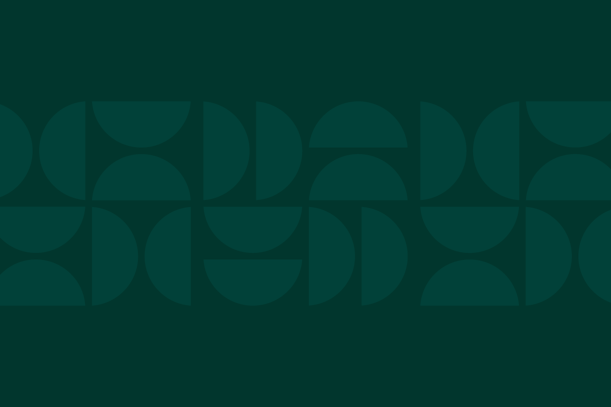 New River Valley 2024 Annual Report