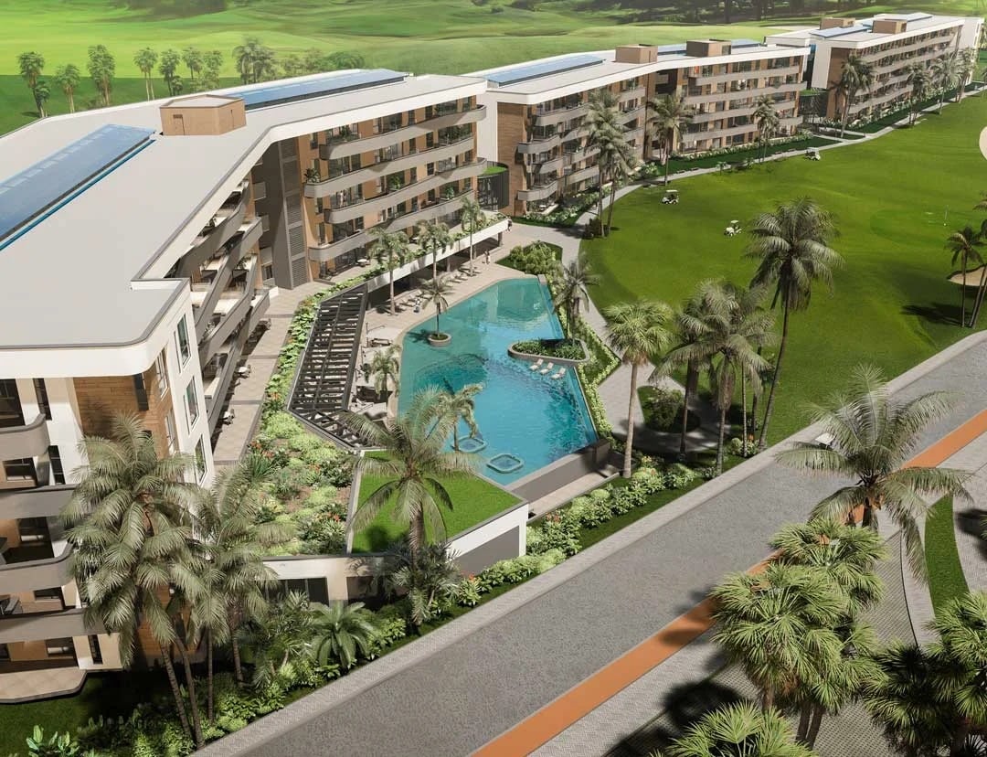 Palm View