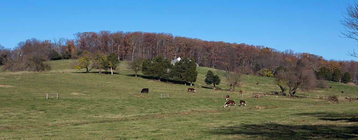 Fauquier County