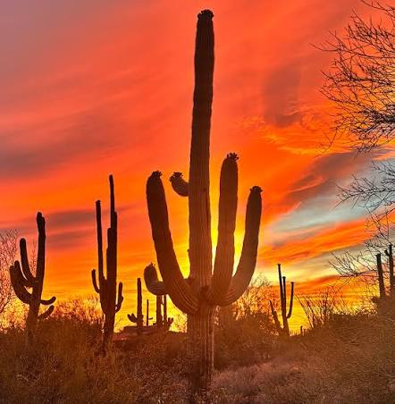 Cave Creek