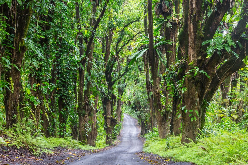 While You Can't Drive to the Big Island, You Will Enjoy the Road Trips