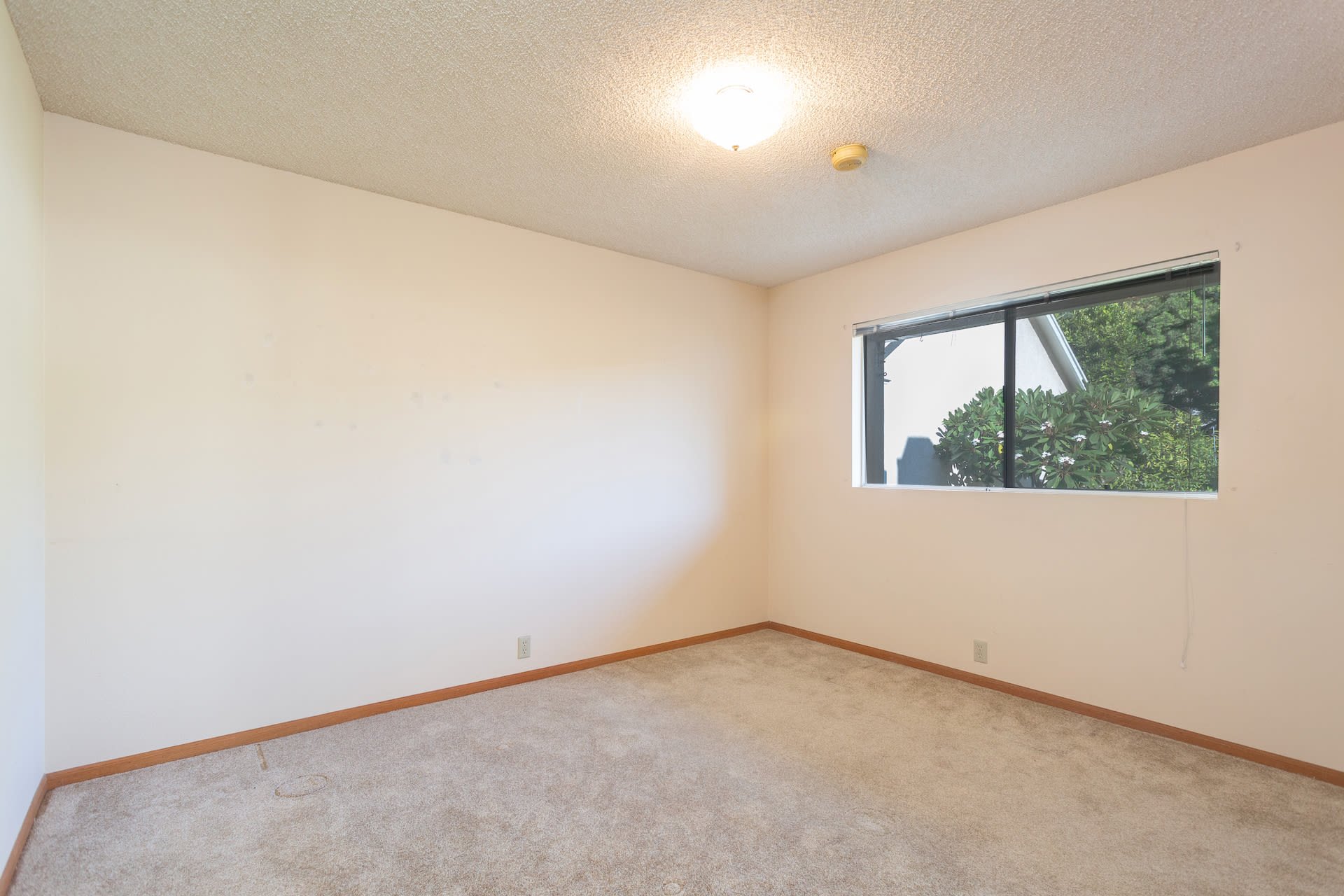 1326 Pine St, Sunset Park