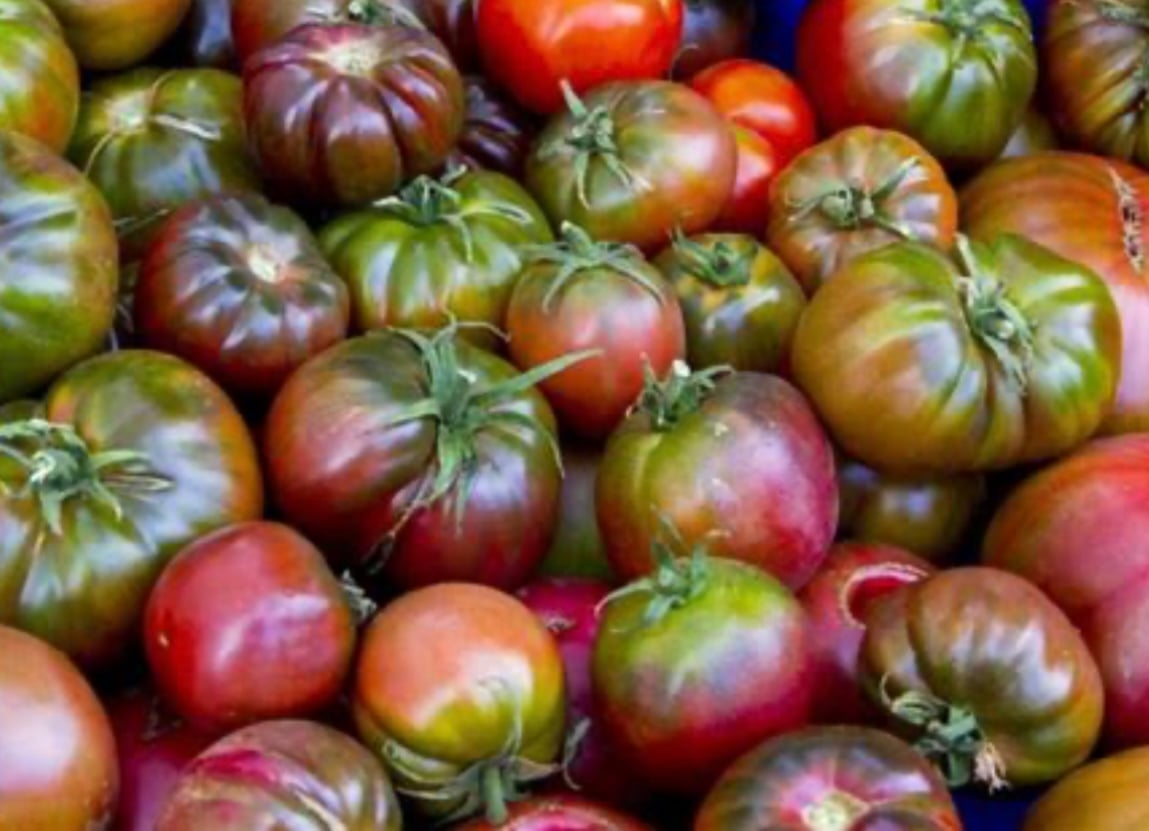 Cherokee Purple Tomatoes & Real Estate