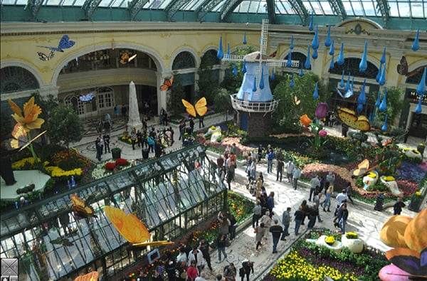 Bellagio - Conservatory and Botanical Gardens