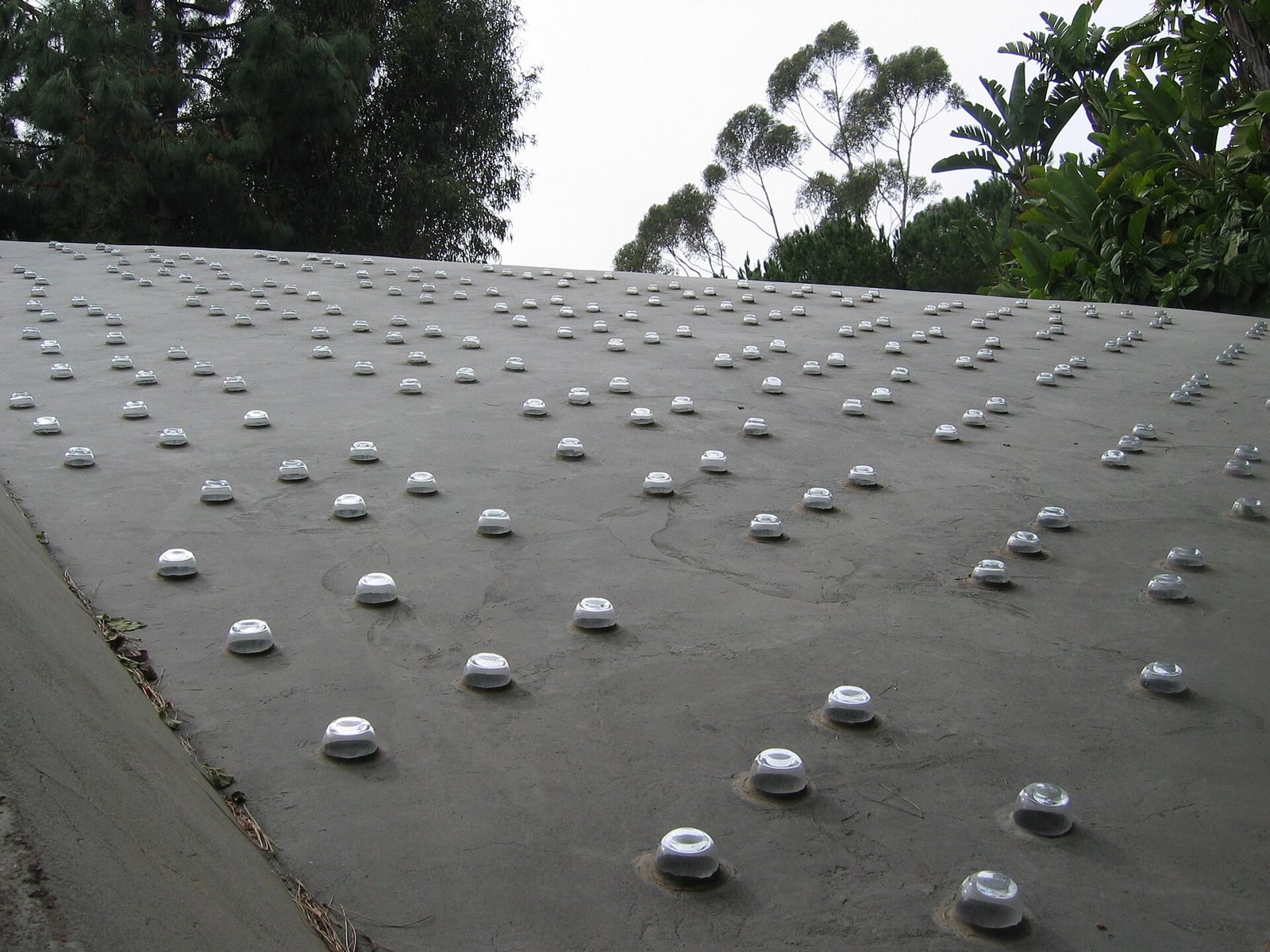 The concrete roof of the Sheats-Goldstein Residence from above, studded with the rounded glass bases of the drinking-glass skylights.