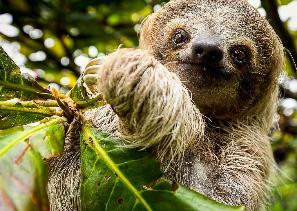 Panoramic Ocean Luxury Estate