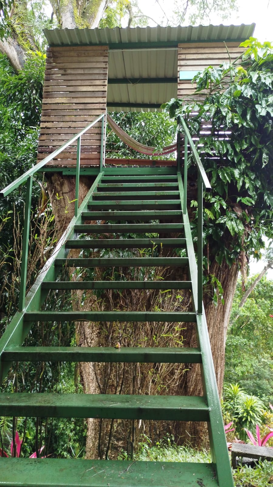 M. A. Ocean View Apt.