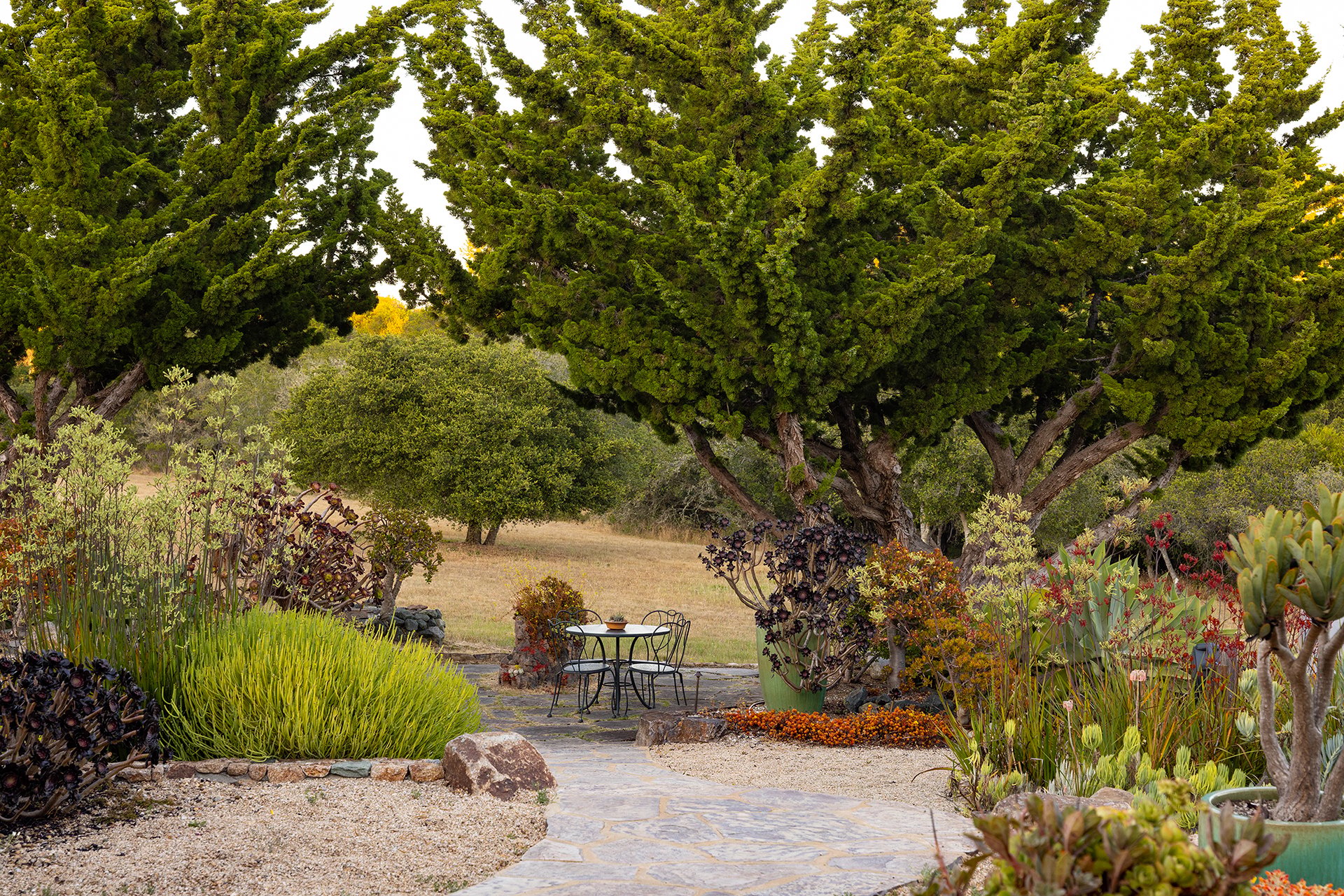 Rancho Refugio - A Place of Refuge