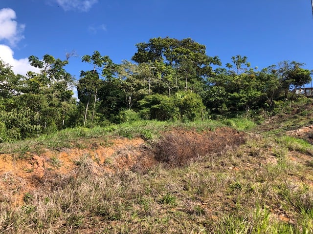 1.24 ACRES – Alto de San Juan, TOP OF THE WORLD VIEWS, Cool Breezes, Ready to Build Your Dream!!!!!
