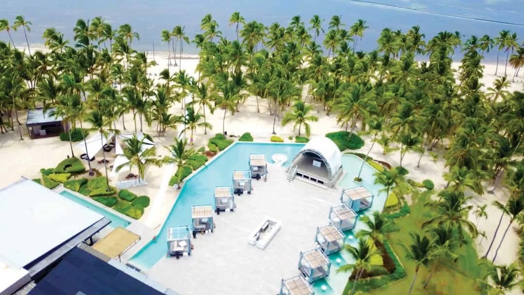 Palm View