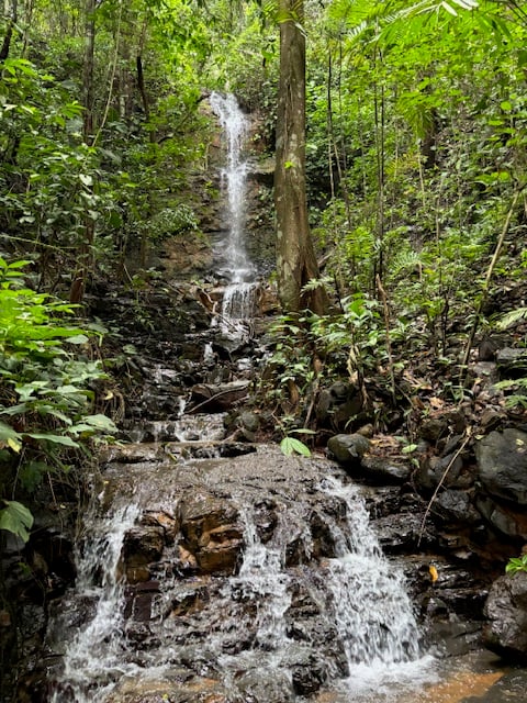 17.85 ACRES – Stunning Large Land With 2 Waterfalls Near Dominical Beach!!!