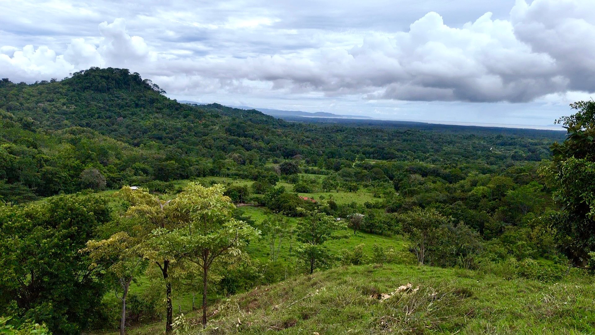 Ocean View Sanctuary in San Buenas – 4.94 Acres of Pastures & Easy Accessaccess