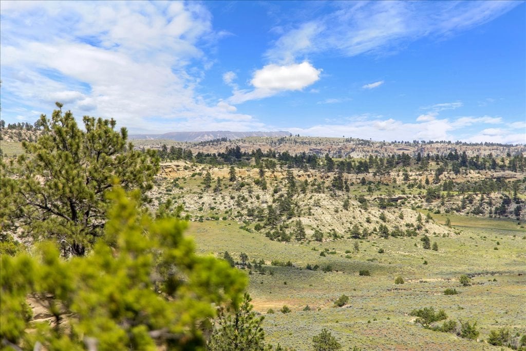 369 Border Trail