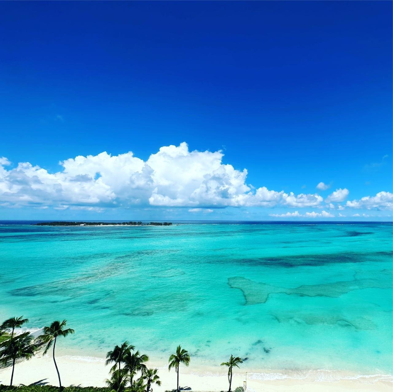 Aqualina Beach Front Apartment, 1103 